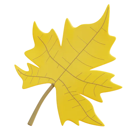 Maple Leaf  3D Icon