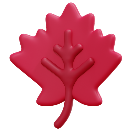 Maple Leaf  3D Icon