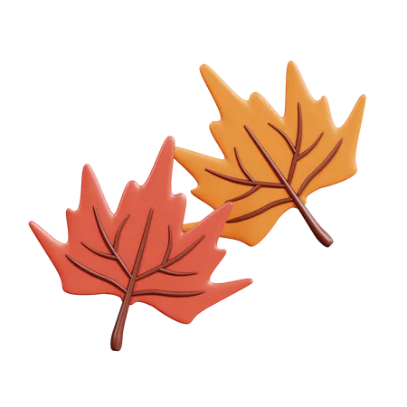 Maple Leaf  3D Icon