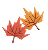 Maple Leaf