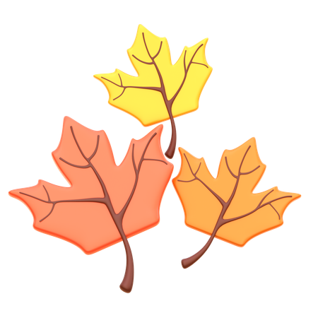 Maple Leaf  3D Icon