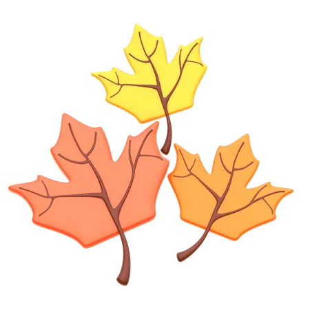 Maple Leaf  3D Icon