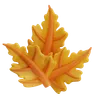 Maple Leaf