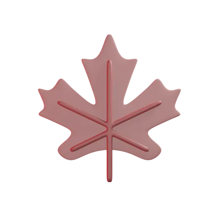 Maple Leaf  3D Illustration