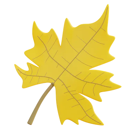 3 D Illustration Maple Leaf 3D Icon