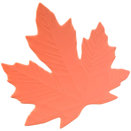 Maple Leaves  3D Icon