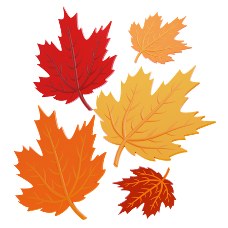 Maple Leaves  3D Icon