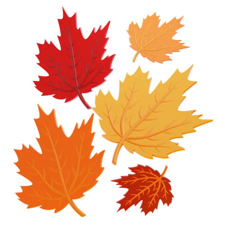 Maple Leaves  3D Icon