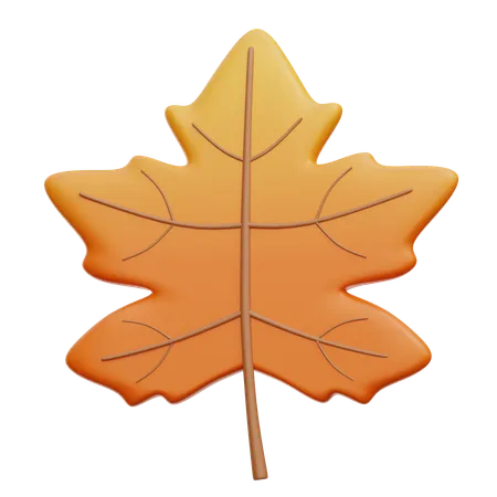 Maple Leaves  3D Icon