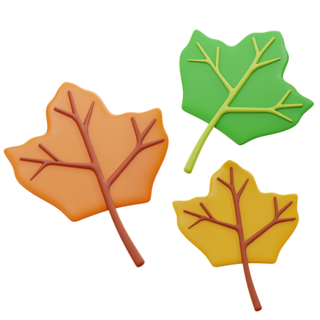 Maple Leaves  3D Icon