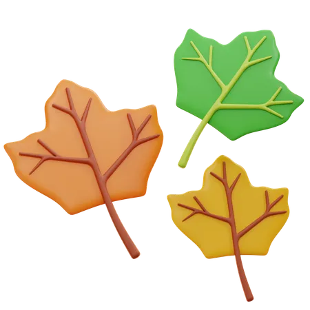 Maple Leaves  3D Icon