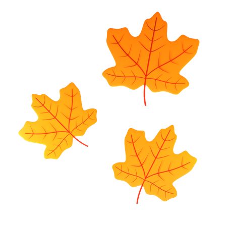 Maple Leaves  3D Icon