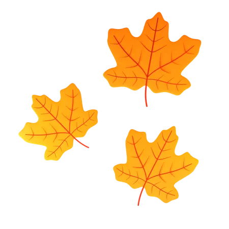 Maple Leaves  3D Icon
