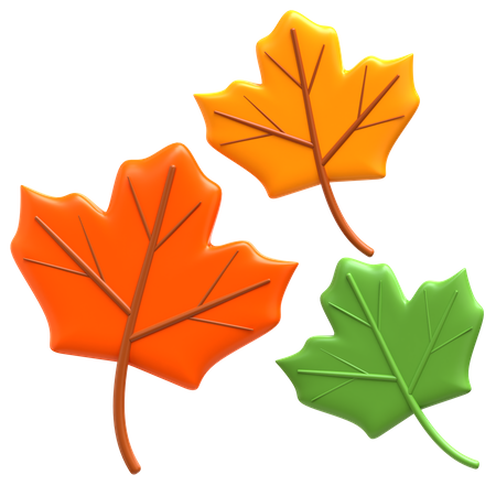 Maple Leaves  3D Icon