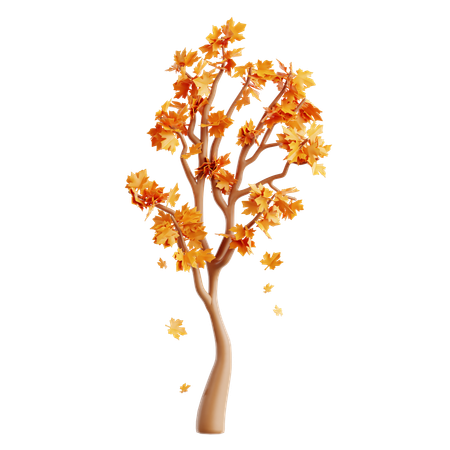 Maple Tree  3D Icon