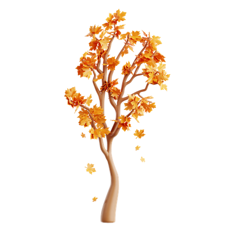 Maple Tree  3D Icon