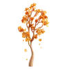 Maple Tree