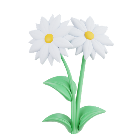 Margarida  3D Icon