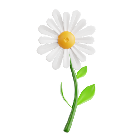 Margarida  3D Icon