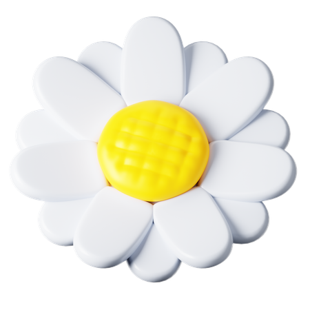 Margarida  3D Icon