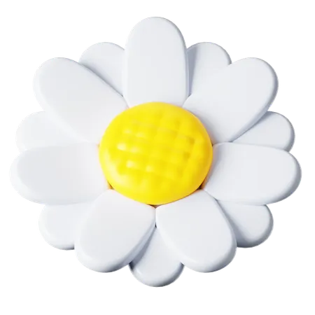 Margarida  3D Icon