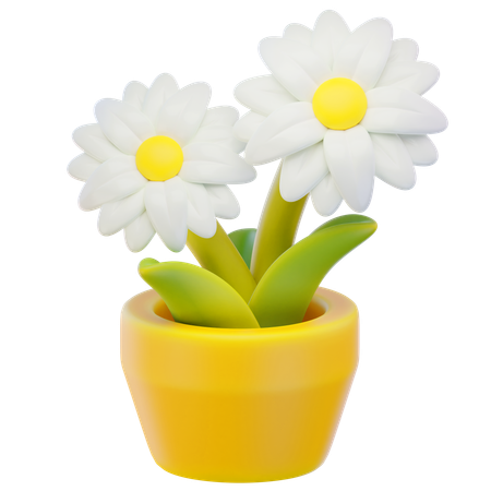 Margarida  3D Icon