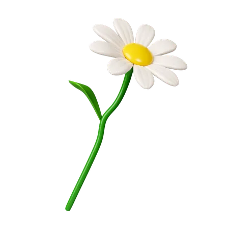 Flores De Margaridas 3 D Icon Isolado No Fundo Branco Ilustracao De Renderizacao 3 D Caminho De Recorte 3D Icon