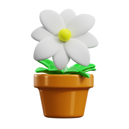 Marguerite  3D Icon