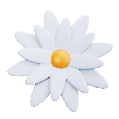 Marguerite  3D Icon