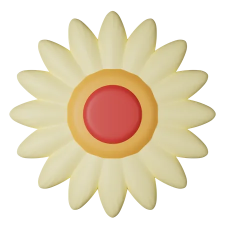 Marguerite  3D Icon