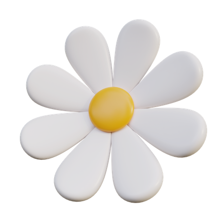 Fleur de marguerite blanche  3D Icon