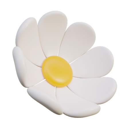 Fleur de marguerite blanche  3D Icon