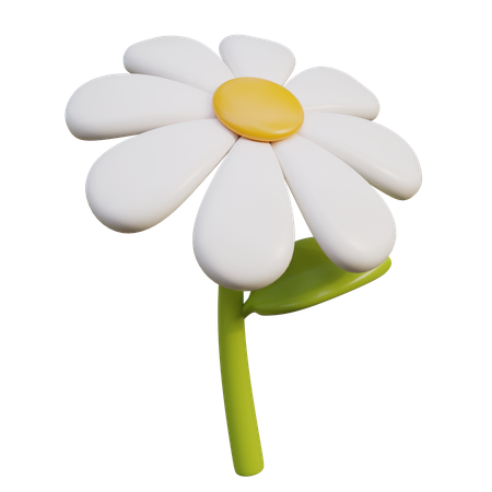 Fleur de marguerite blanche  3D Icon