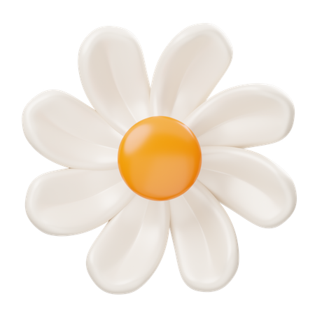 Une marguerite  3D Icon