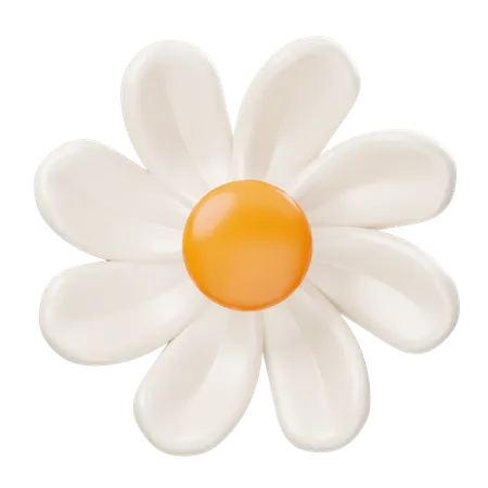 Une marguerite  3D Icon