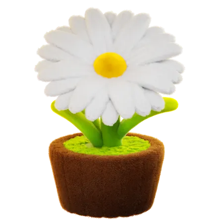 Une marguerite  3D Icon