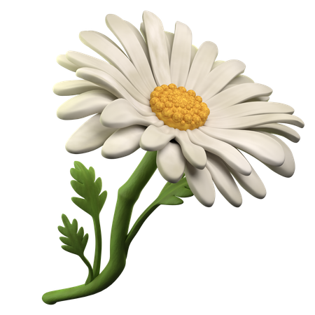 Une marguerite  3D Icon