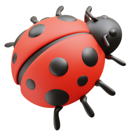 Marienkäfer  3D Icon