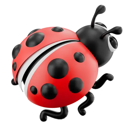 Marienkäfer  3D Icon