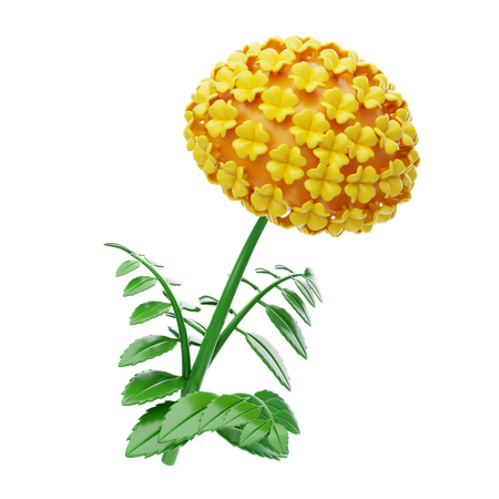 Marigold  3D Icon