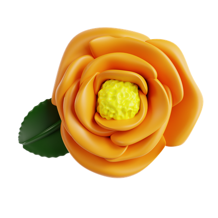 Marigold  3D Icon