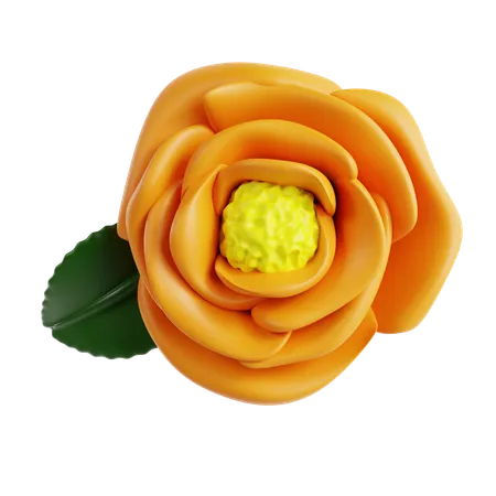 Marigold  3D Icon