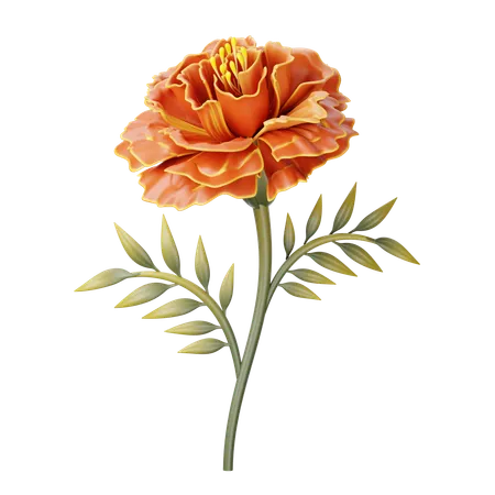 Marigold  3D Icon