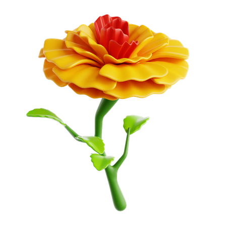 Marigold Flower  3D Icon