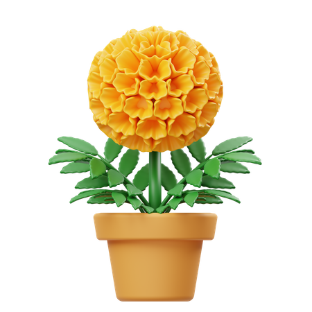 Marigold Flower Pot  3D Icon