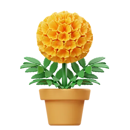 Marigold Flower Pot  3D Icon