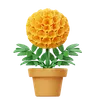 Marigold Flower Pot