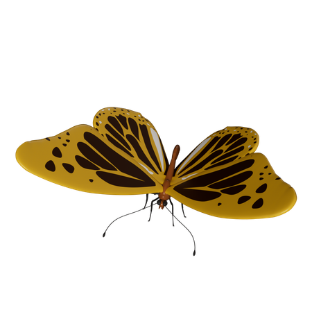 Mariposa  3D Icon