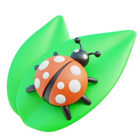 Mariquita  3D Icon