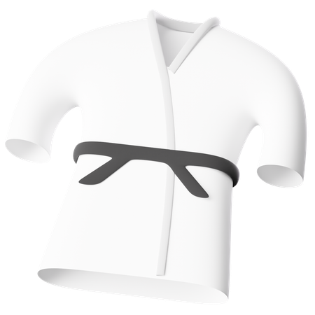 Martial Arts  3D Icon